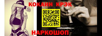 индика Кингисепп