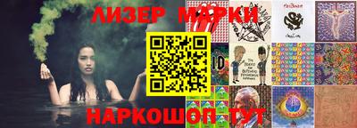 индика Кингисепп