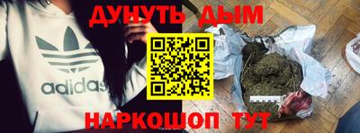 индика Кингисепп
