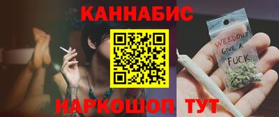 индика Кингисепп