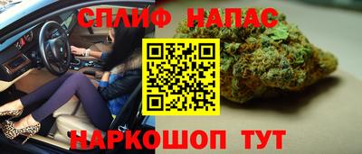 индика Кингисепп