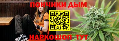 индика Кингисепп