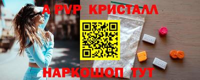 индика Кингисепп