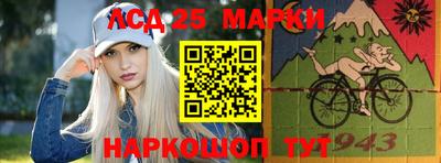 индика Кингисепп