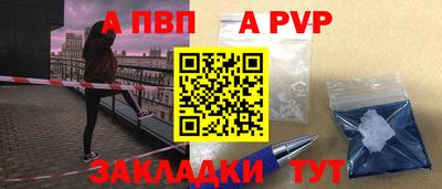 индика Кингисепп