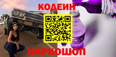 индика Кингисепп