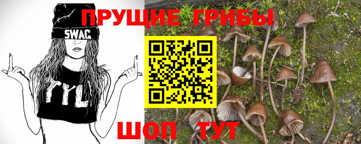 Псилоцибиновые грибы GOLDEN TEACHER Искитим